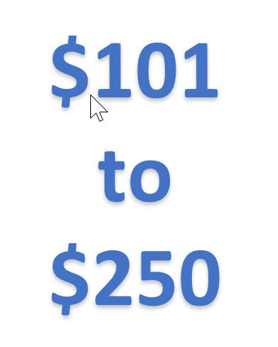 $101-$250