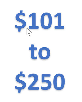 $101-$250