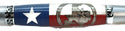 Texas Coin over Texas Flag - 1001