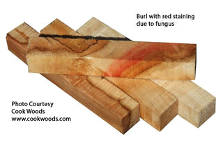 Box Elder