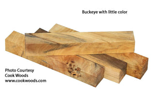 Buckeye
